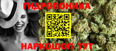 крисы Волжский